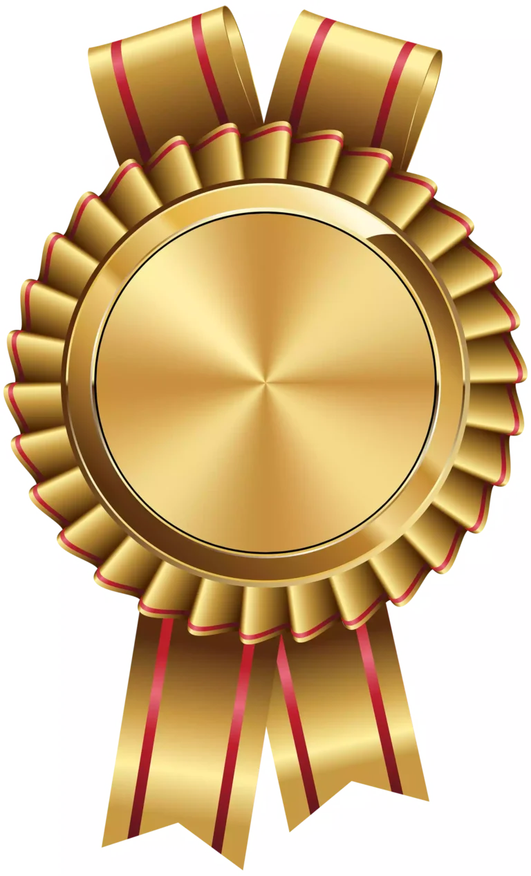 मीना मंच प्रशस्ति-पत्र